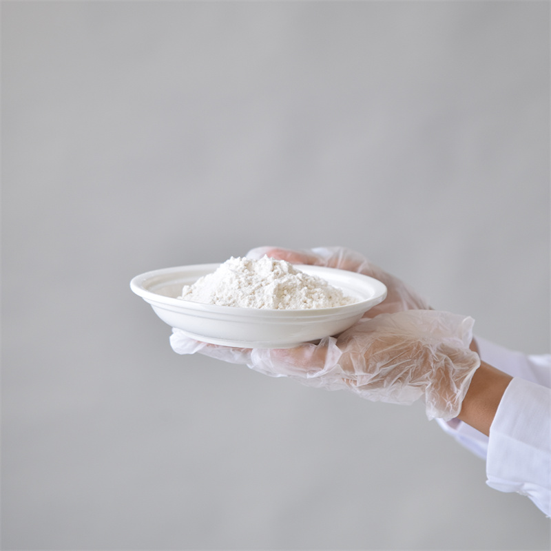 Adenosina 5â-trifosfato sale disodico CAS 987-65-5